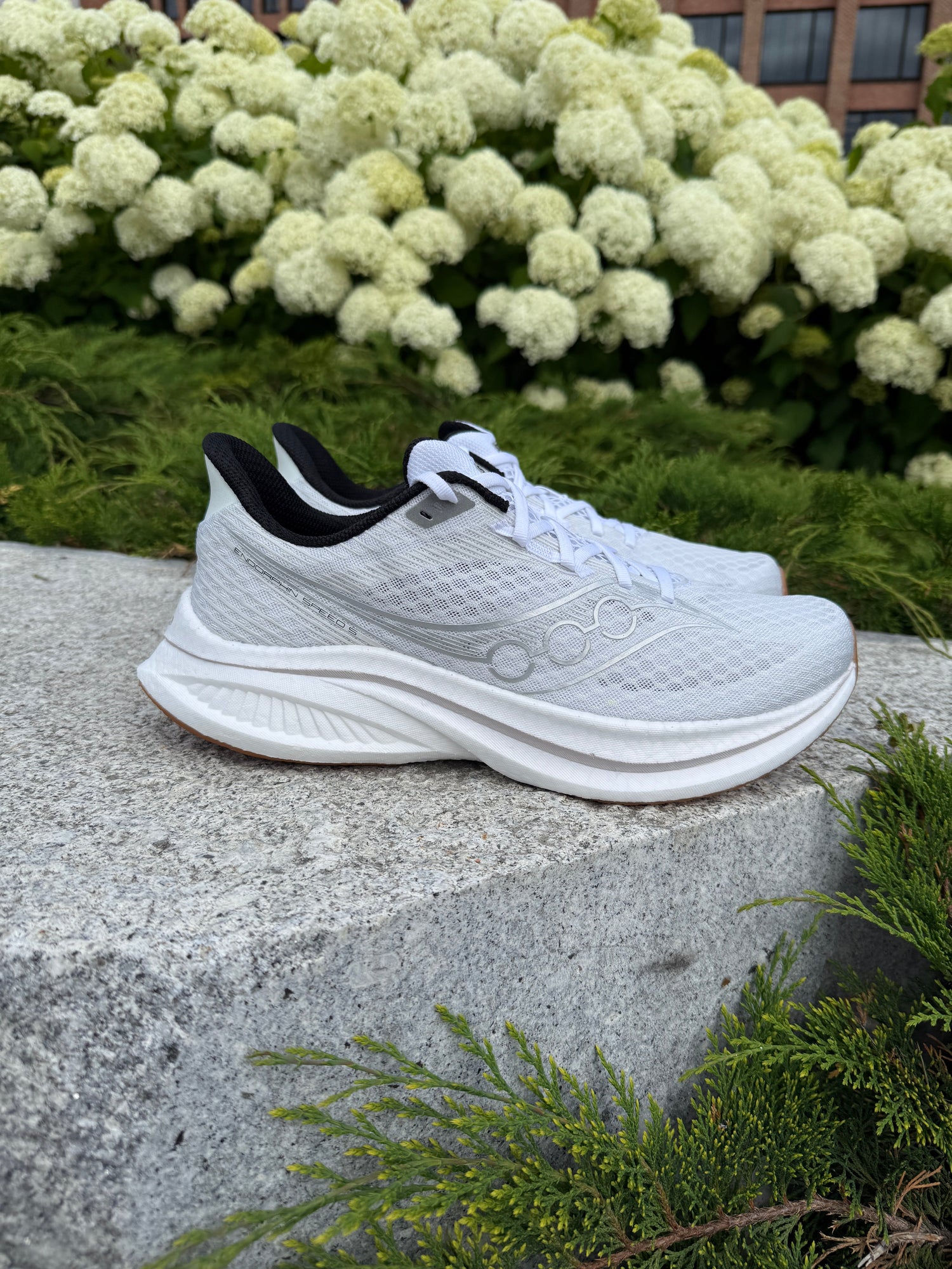 Test: Saucony Endorphin Speed 5 – En Oppgradering Som Leverer