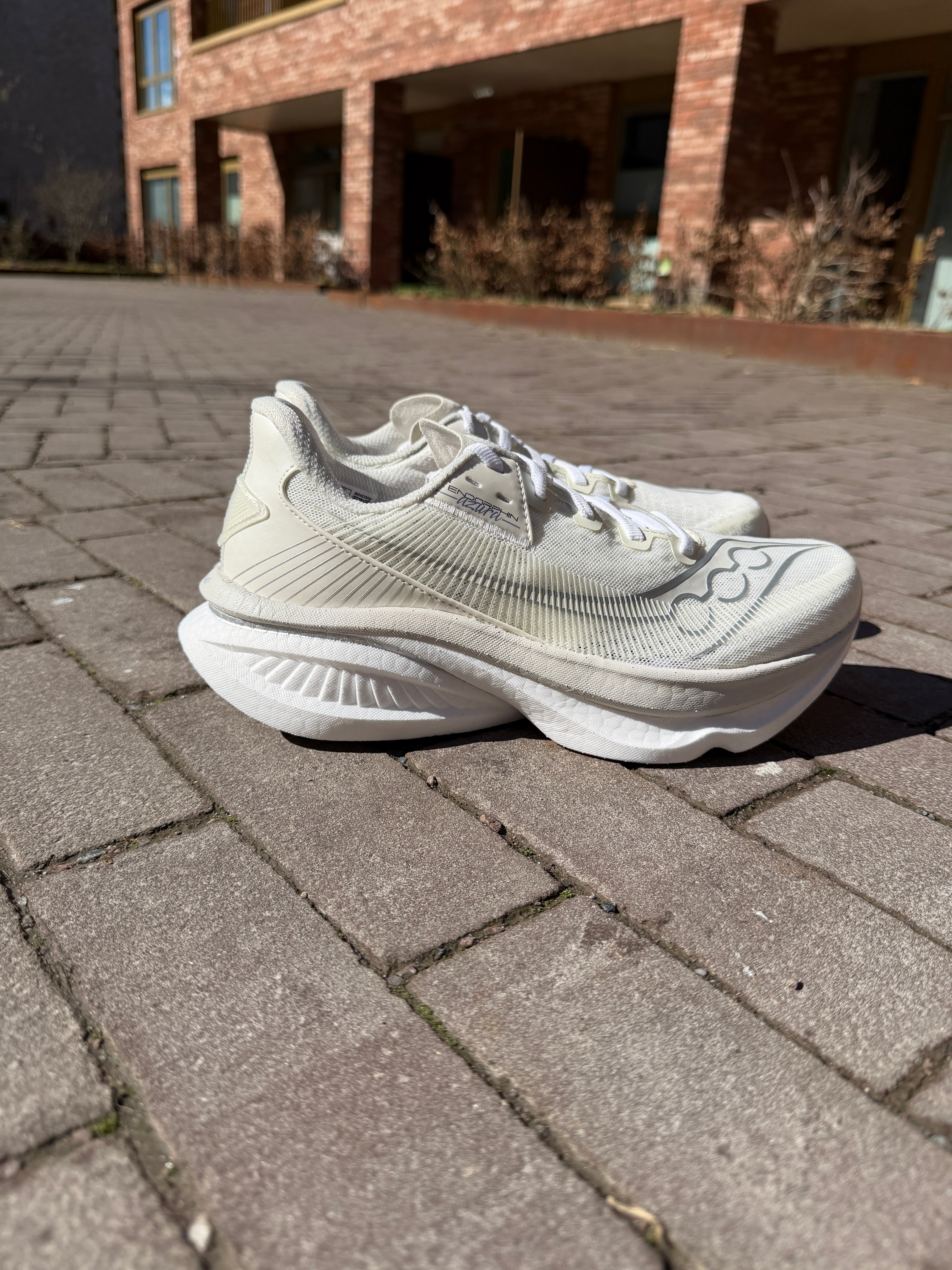 Saucony Endorphin Azura Ivory / White Dame